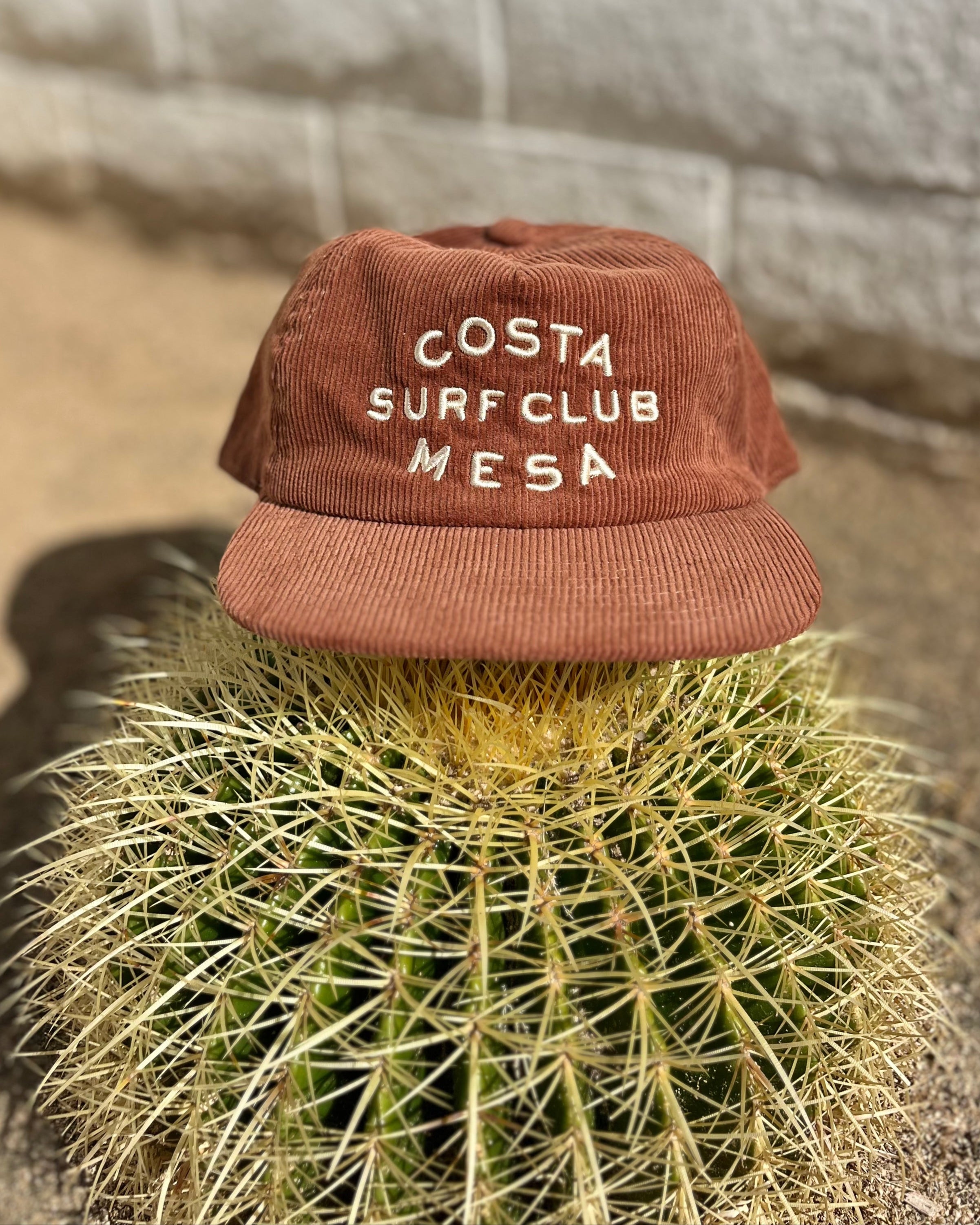 Brown cap with 'Costa Mesa Surf Club' text on a cactus against a stone wall.