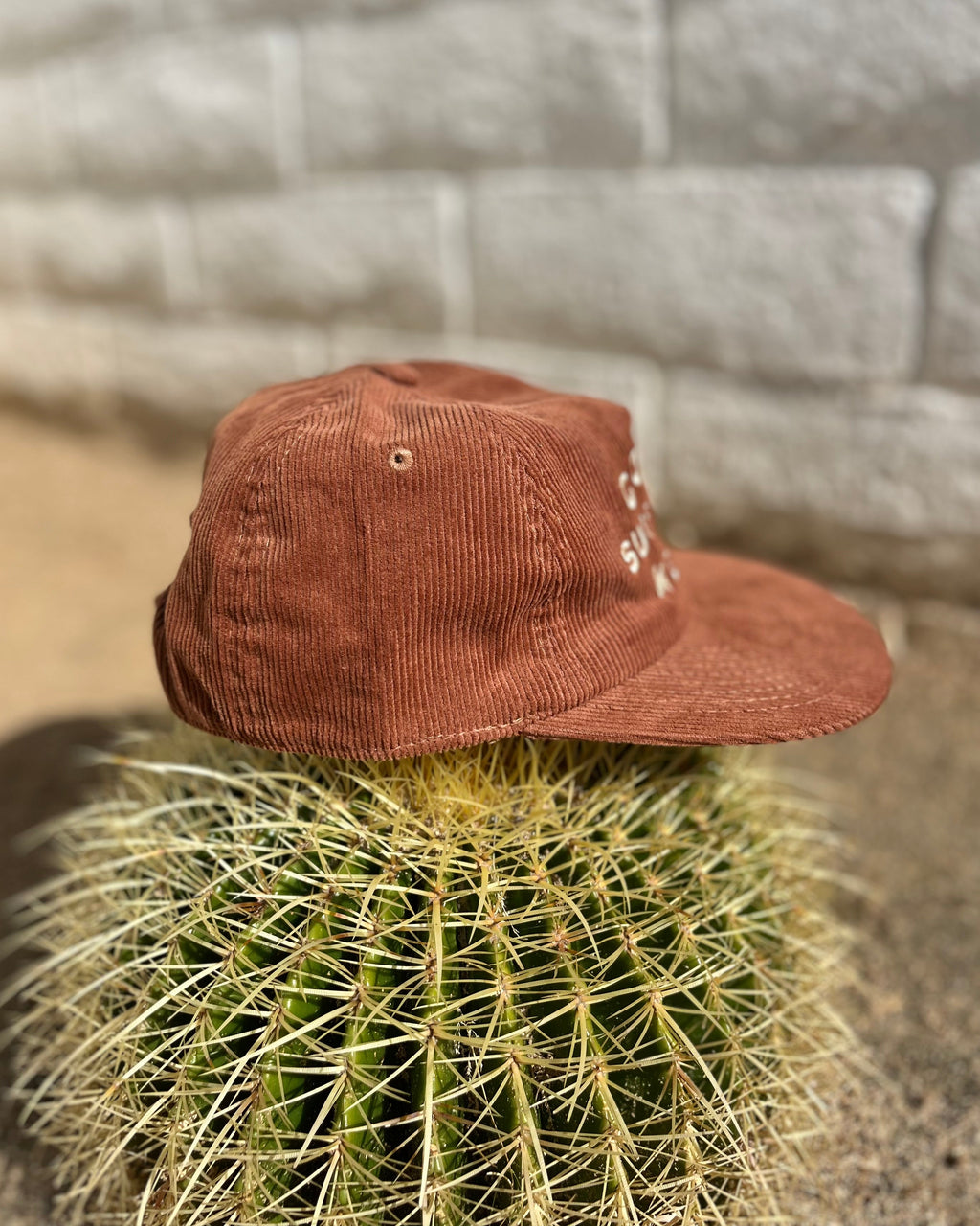 Brown cap on a cactus with a stone wall background