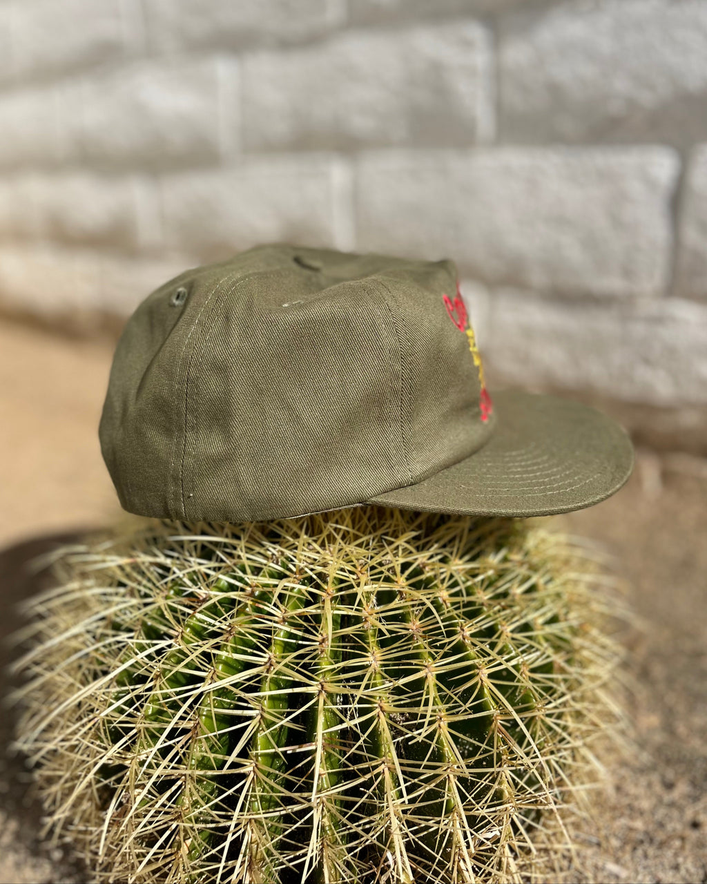 Green cap on a cactus with a textured wall background