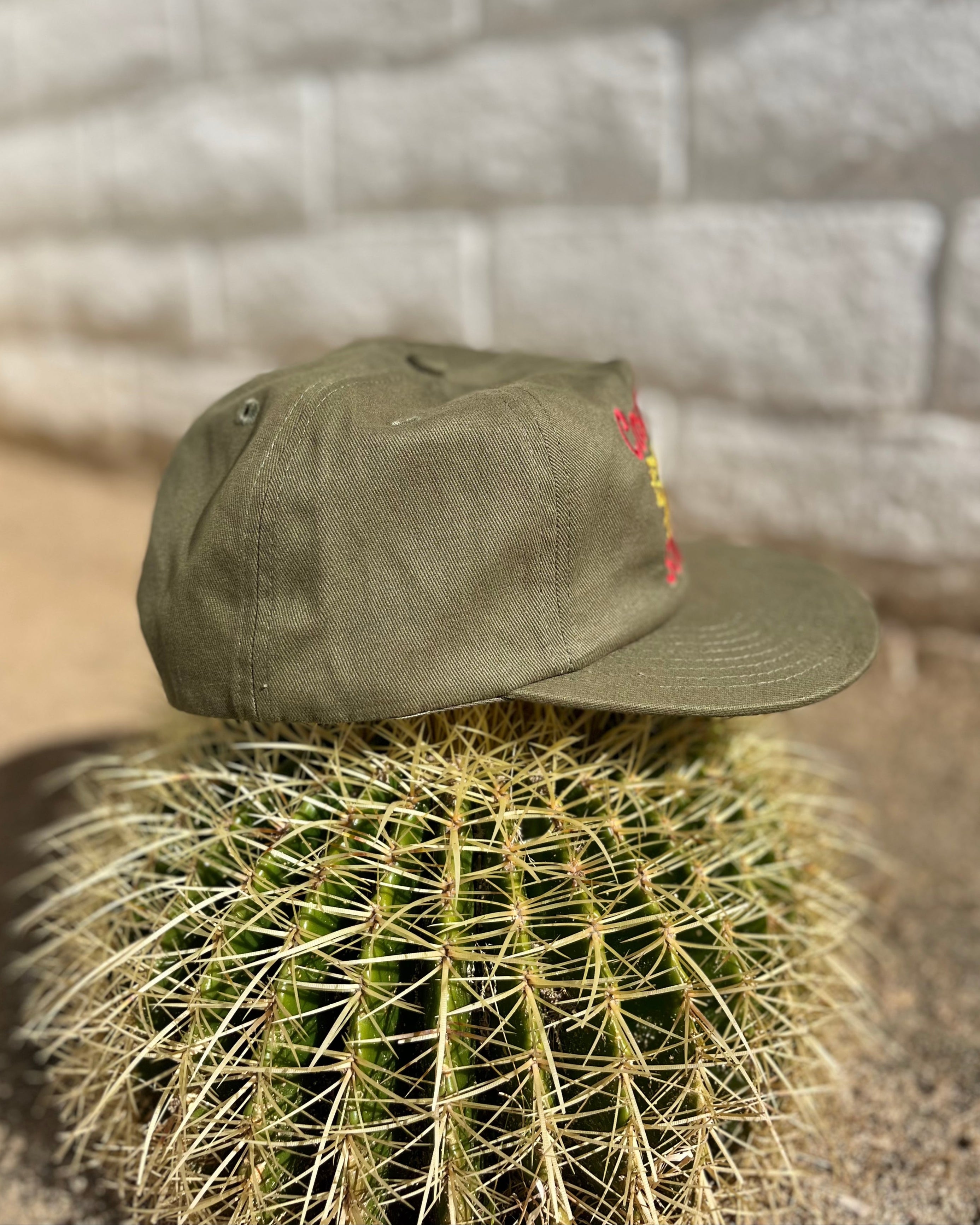Green cap on a cactus with a textured wall background