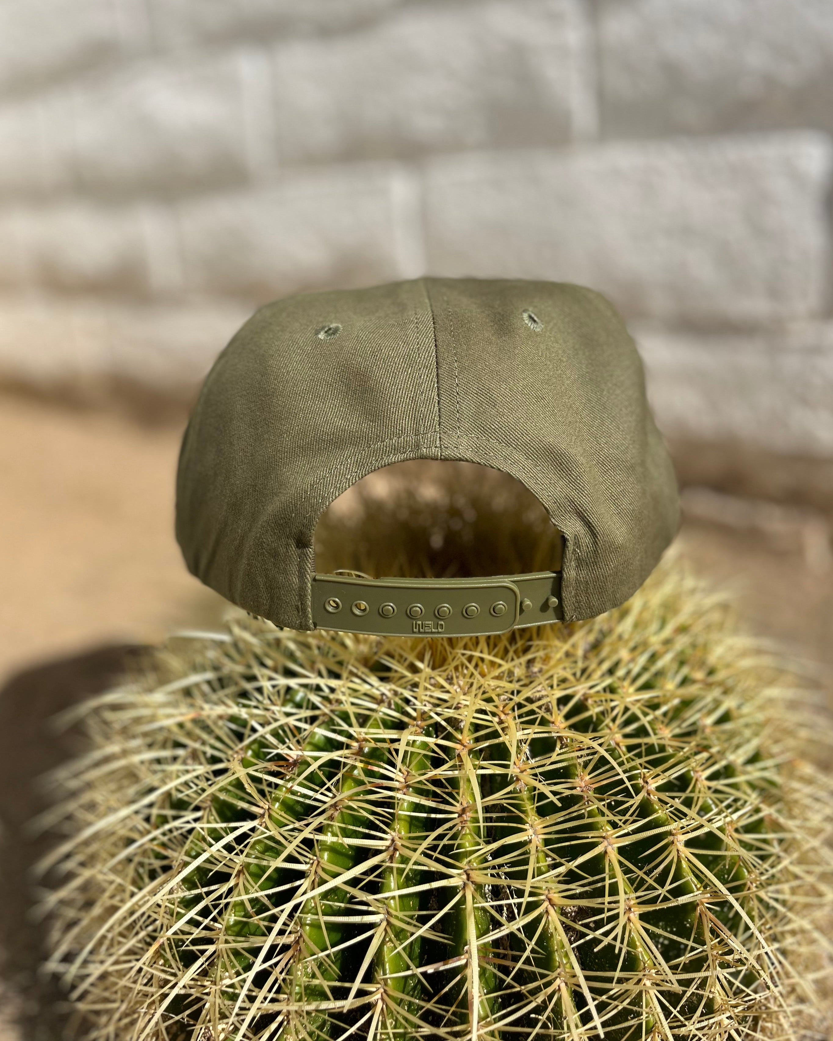 Green cap on a cactus with a textured wall background