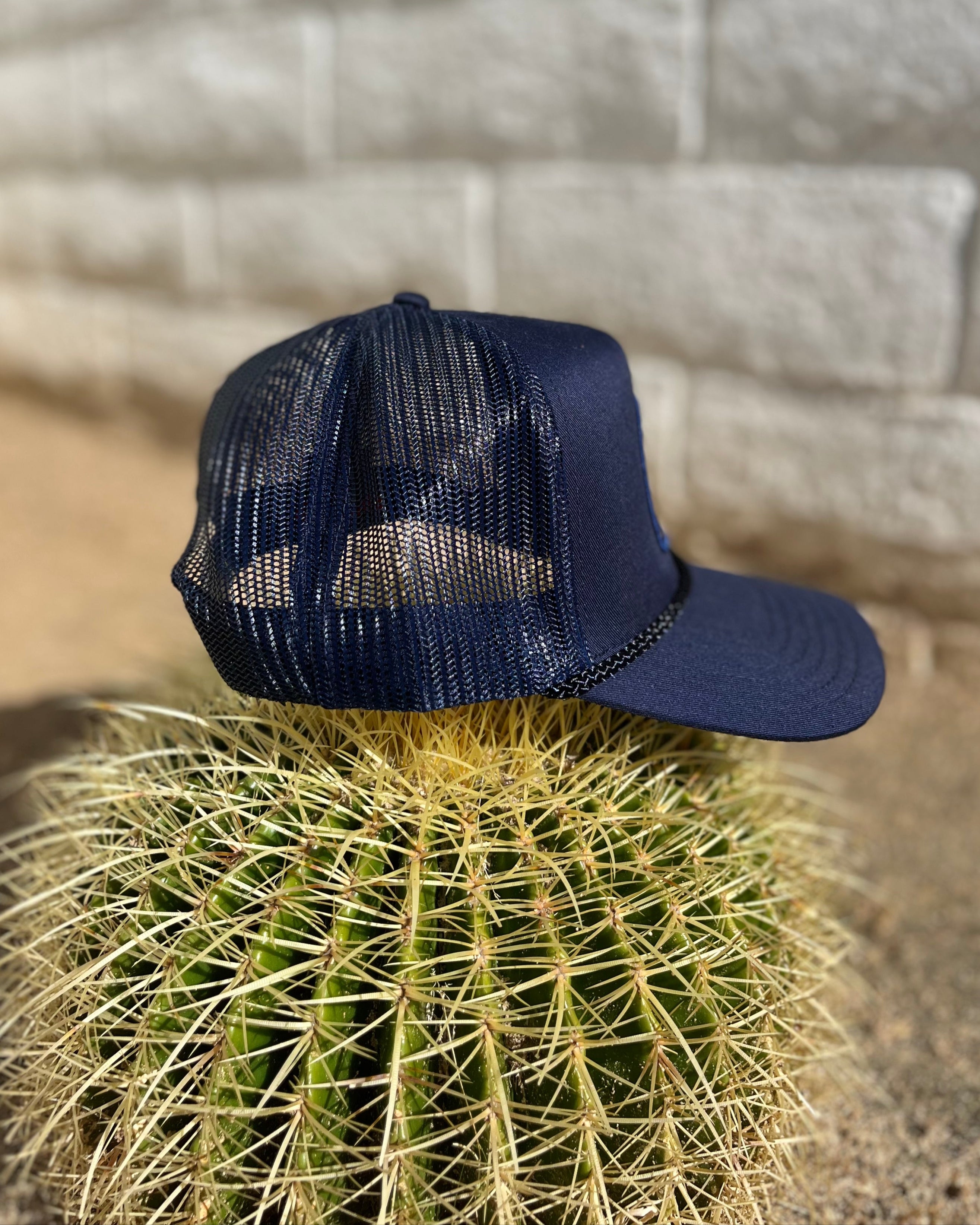 Navy blue cap on a cactus with a stone wall background