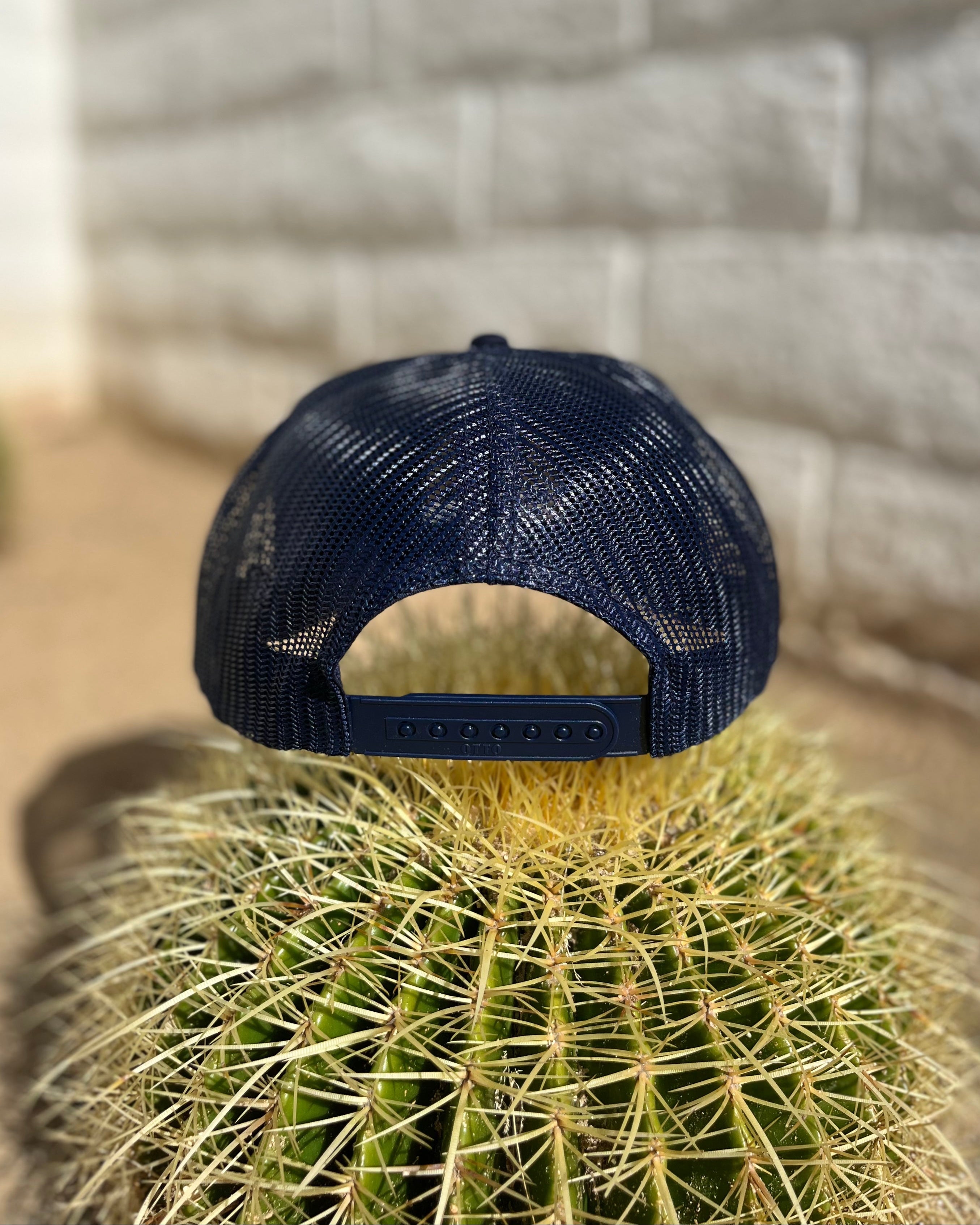 Navy blue cap on a cactus plant with a blurred stone wall background