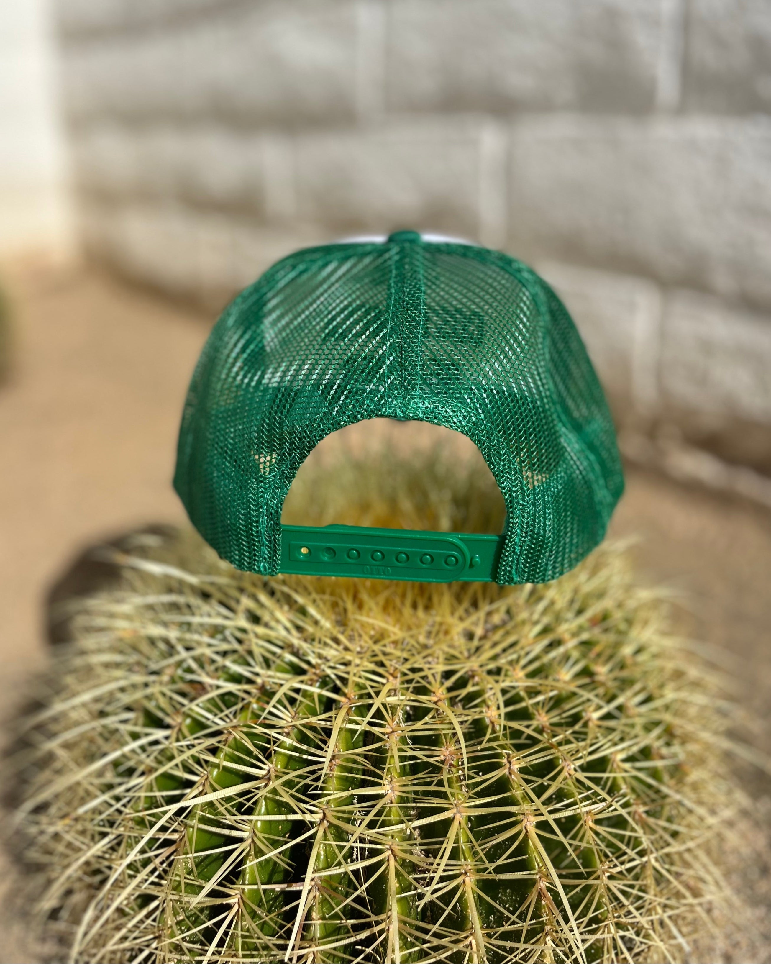 Green cap on top of a cactus with a stone wall background