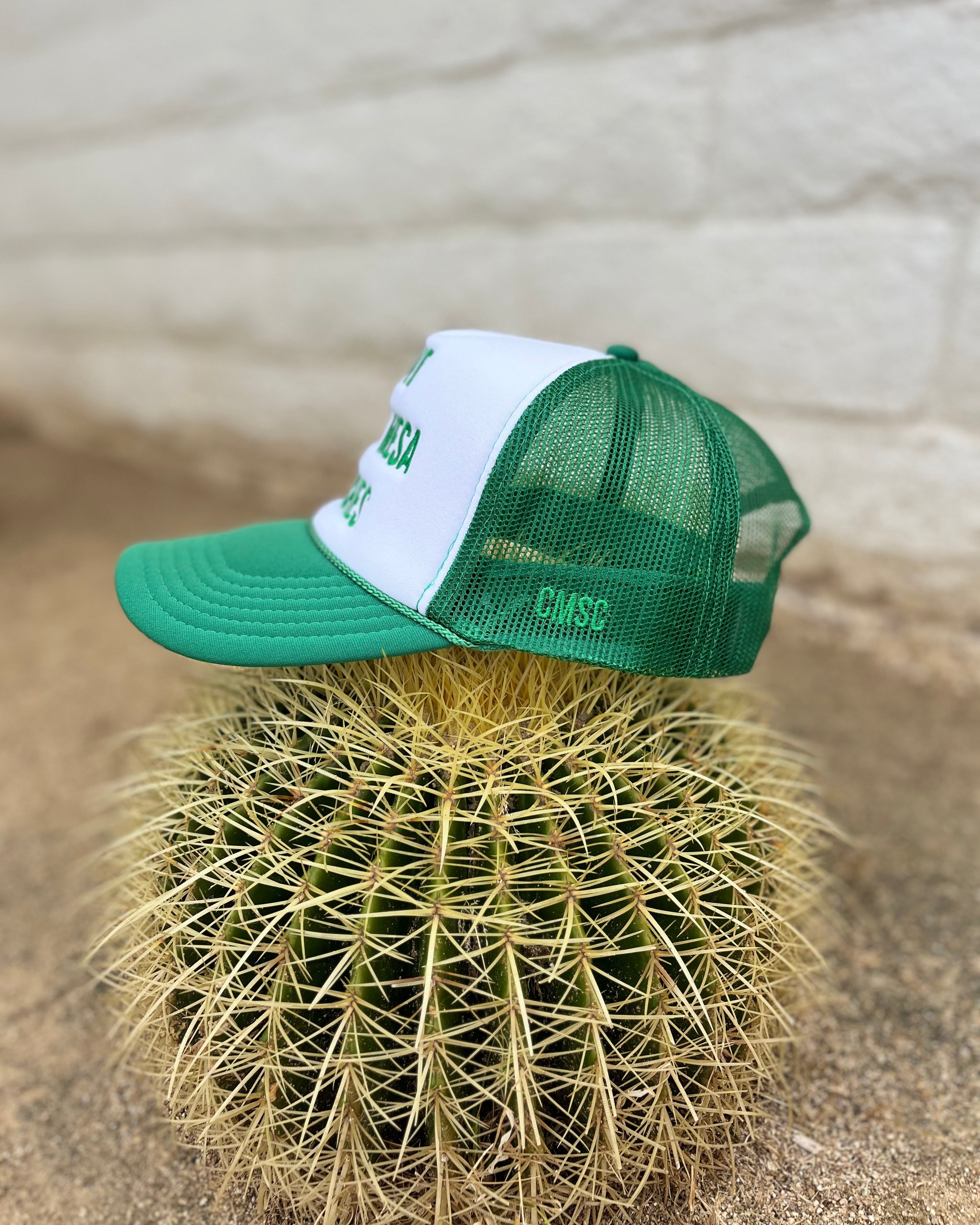 Green and white cap on a cactus with a blurred background